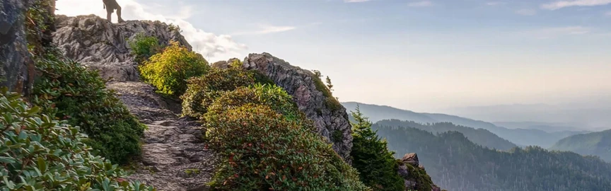 Where to Drive From Gatlinburg for Better Mountain Views