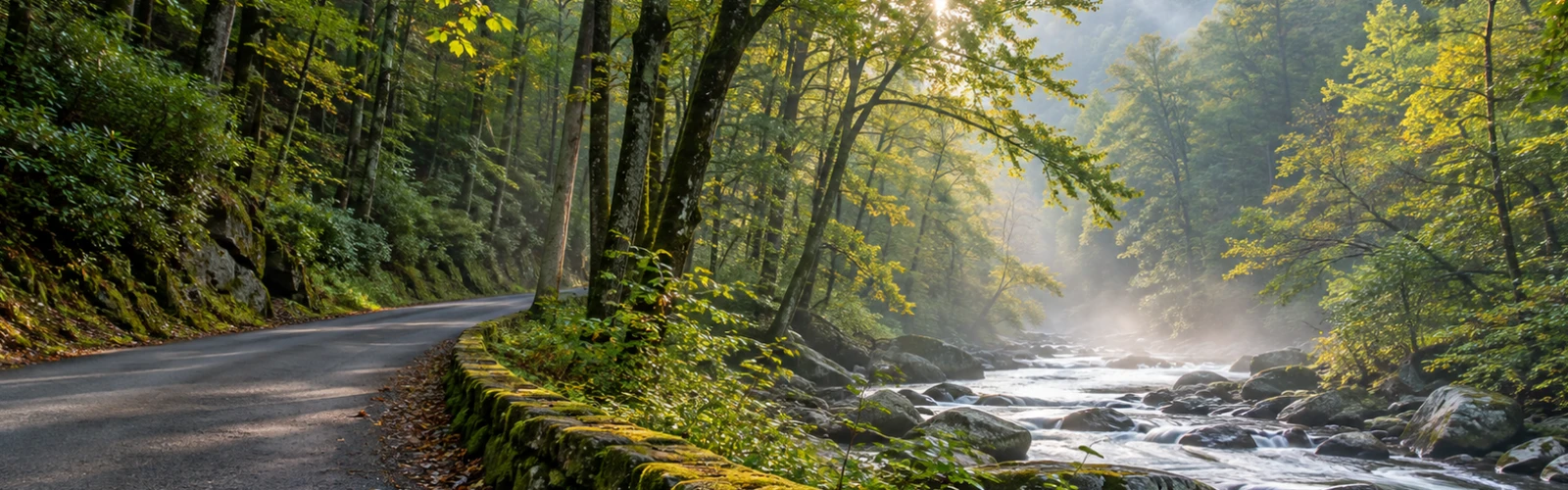 Where to Go When You Want a Less Crowded Gatlinburg Day