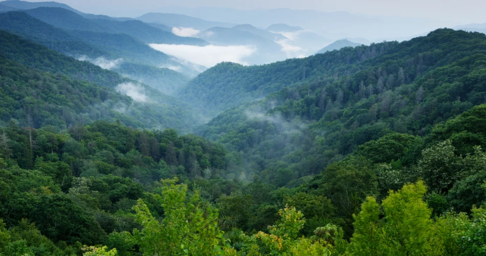 Best Sunrise Spots in Gatlinburg