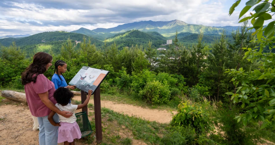 How to Enjoy Gatlinburg After the Sun Goes Down