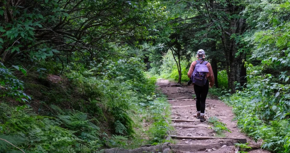 Where to Spend a Late Evening in Gatlinburg