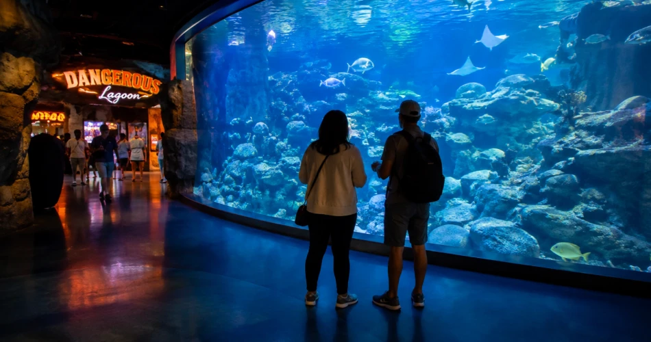 Where to Spend a Late Evening in Gatlinburg