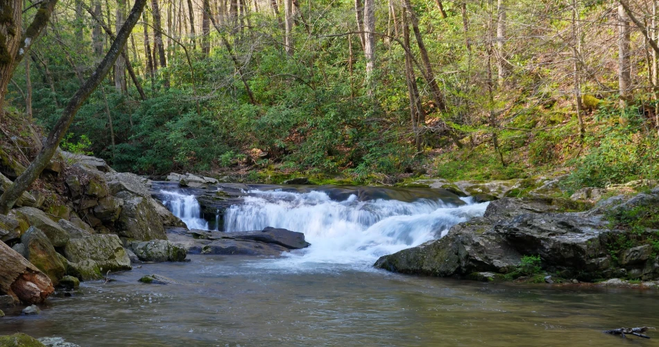 Easy Day Trips to Take From Gatlinburg