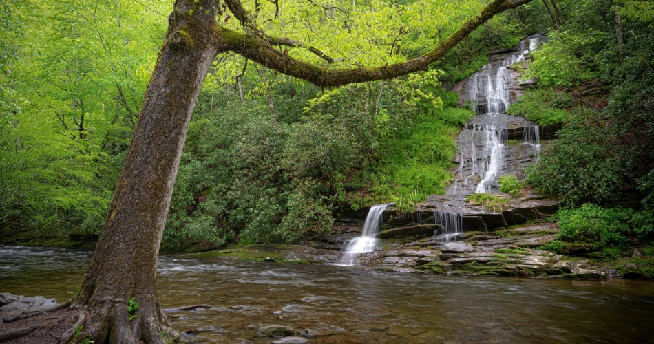 Easy Day Trips to Take From Gatlinburg