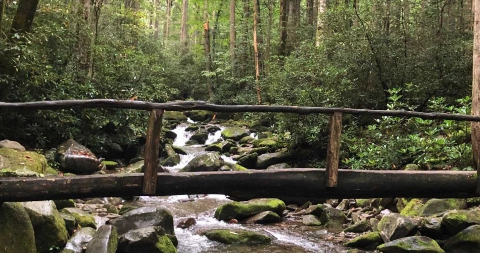 Easy Day Trips to Take From Gatlinburg