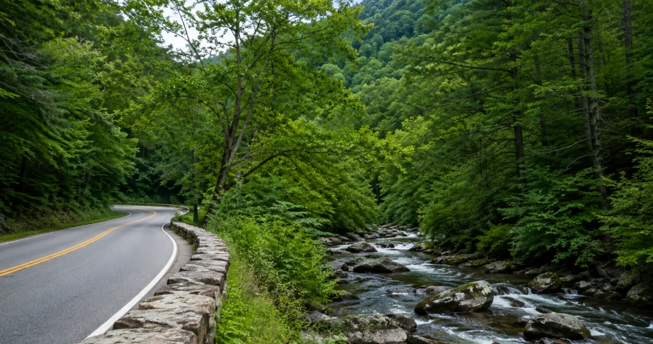Beautiful Scenic Drives Near Gatlinburg Worth the Trip