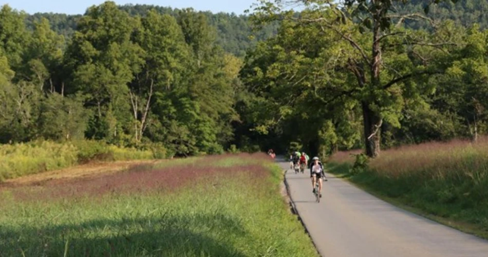 Beautiful Scenic Drives Near Gatlinburg Worth the Trip
