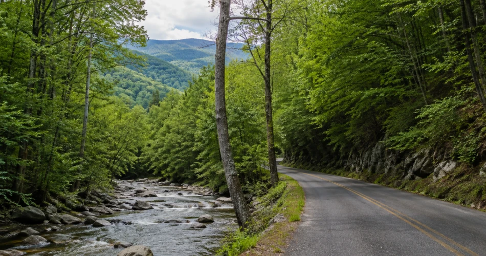 Beautiful Scenic Drives Near Gatlinburg Worth the Trip