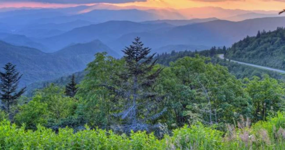 Scenic Drives to Add to Your Gatlinburg Vacation