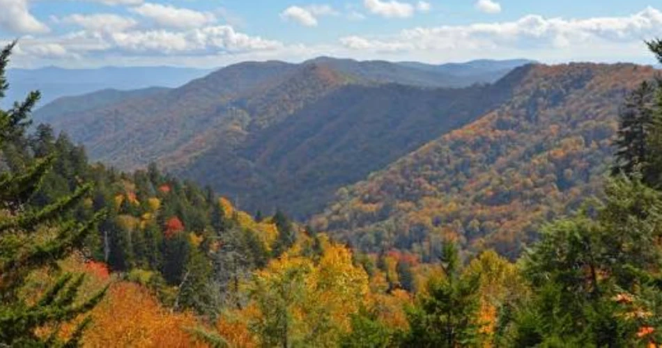 Scenic Drives to Add to Your Gatlinburg Vacation
