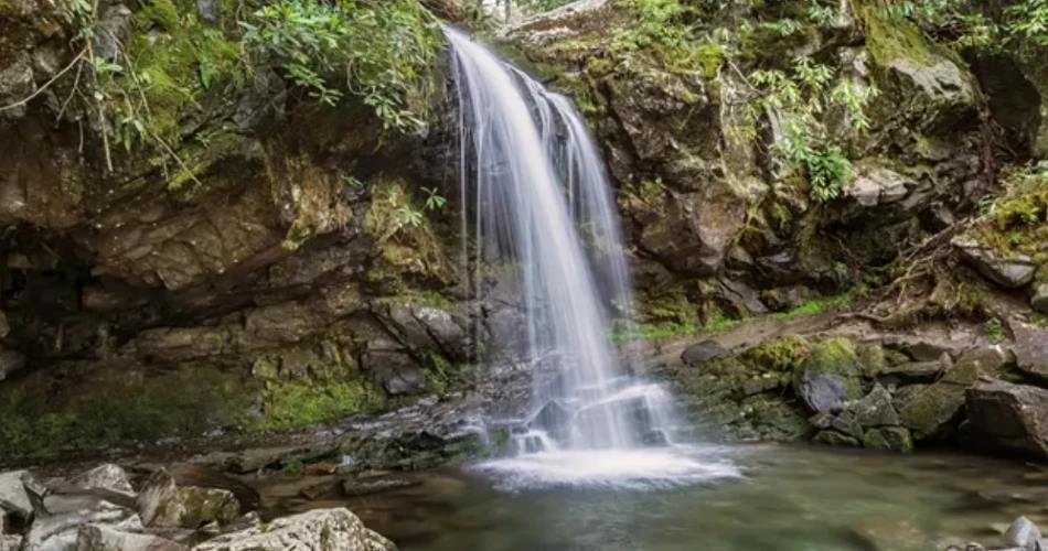 Scenic Drives to Add to Your Gatlinburg Vacation