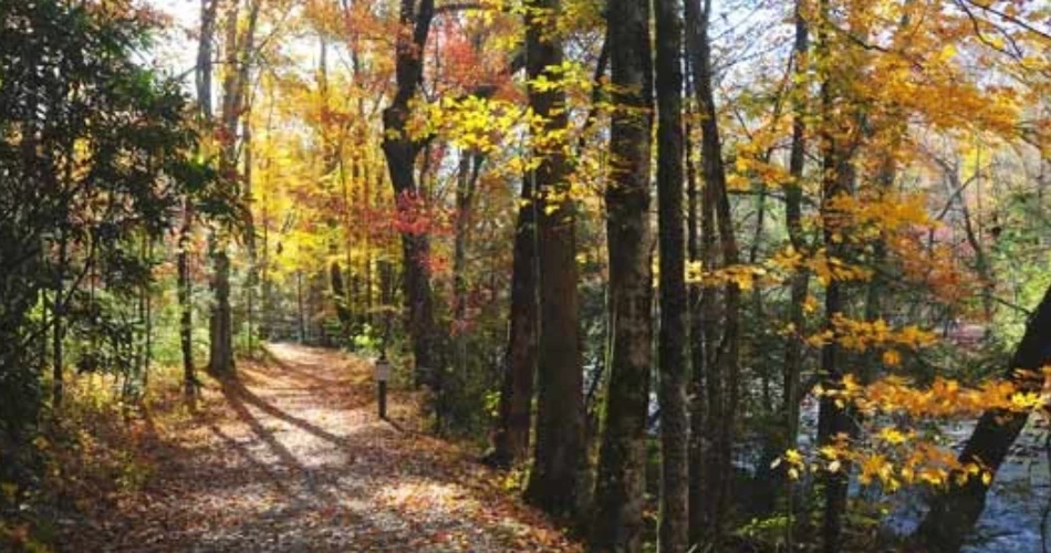 Scenic Drives to Add to Your Gatlinburg Vacation