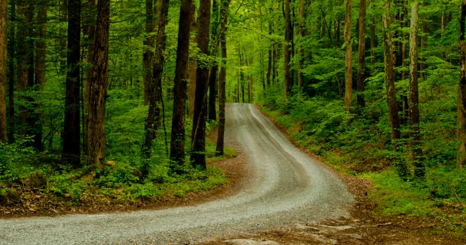 A Relaxing Road Trip Through the Smoky Mountains
