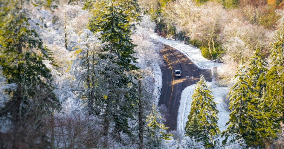 A Relaxing Road Trip Through the Smoky Mountains