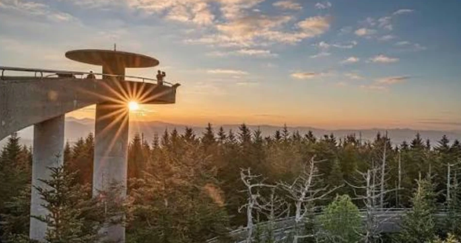 A Relaxing Road Trip Through the Smoky Mountains