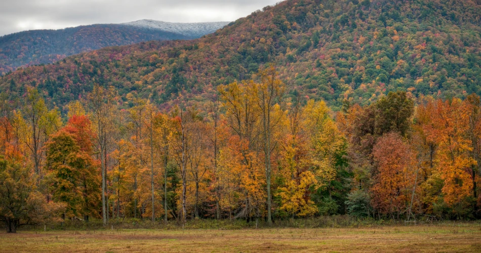 A Relaxing Road Trip Through the Smoky Mountains