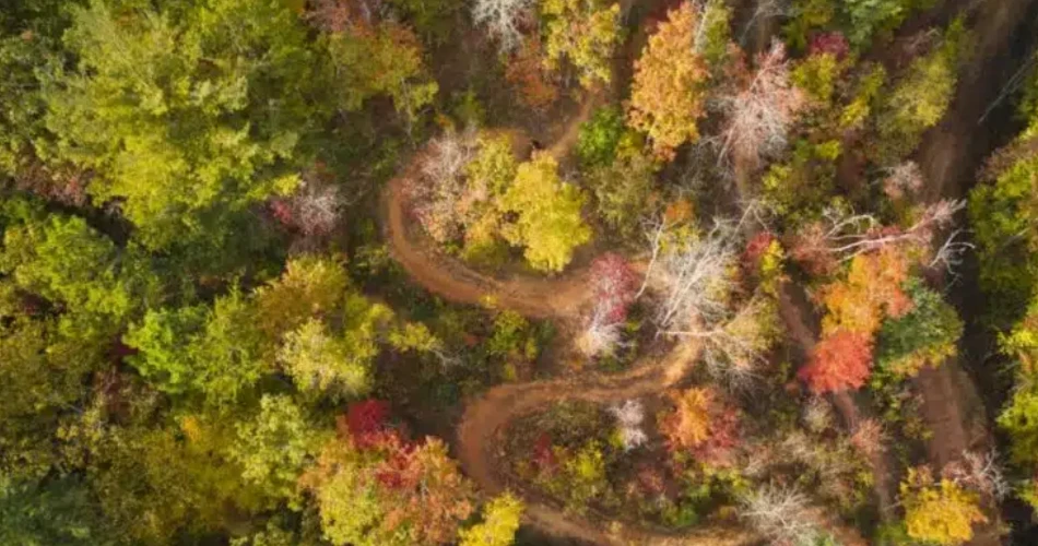 Day Trips From Gatlinburg for a Change of Scenery