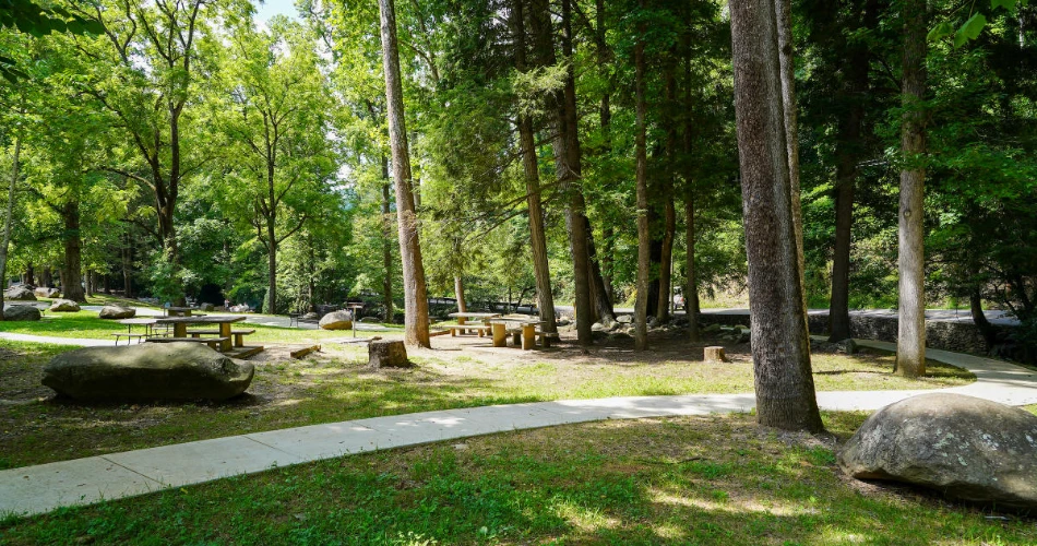 Best Things to Do Near Mynatt Park in Gatlinburg