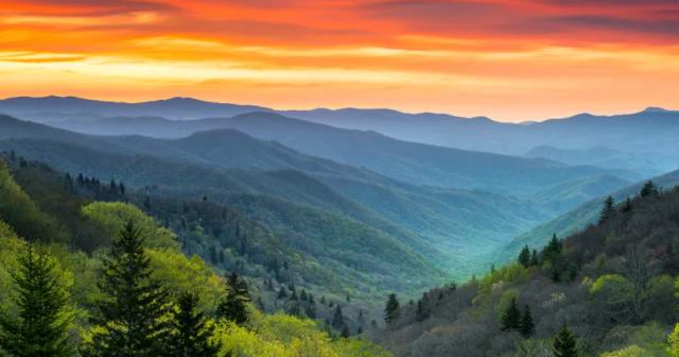  Best Things to Do Near Mynatt Park in Gatlinburg
