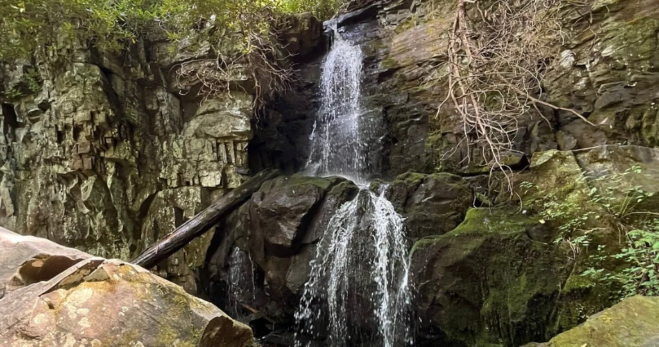  Best Things to Do Near Mynatt Park in Gatlinburg