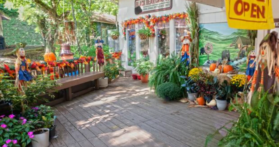 A Local's Guide to The Village Shops in Gatlinburg