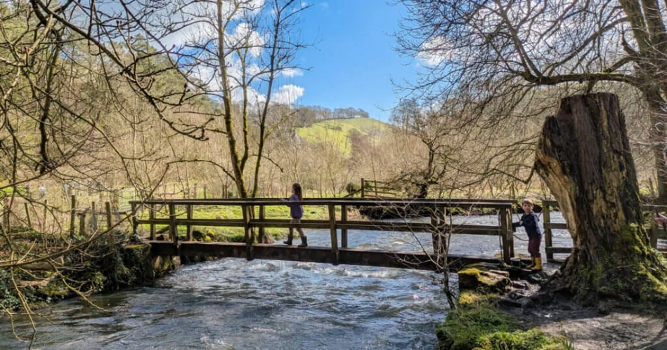 The Quiet Side of Gatlinburg: Peaceful Places Away from the Crowds