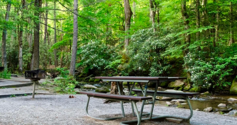 The Prettiest Picnic Views Near Gatlinburg