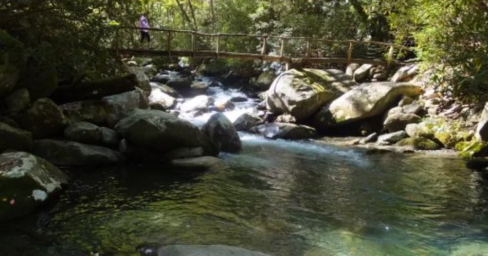 The Prettiest Picnic Views Near Gatlinburg