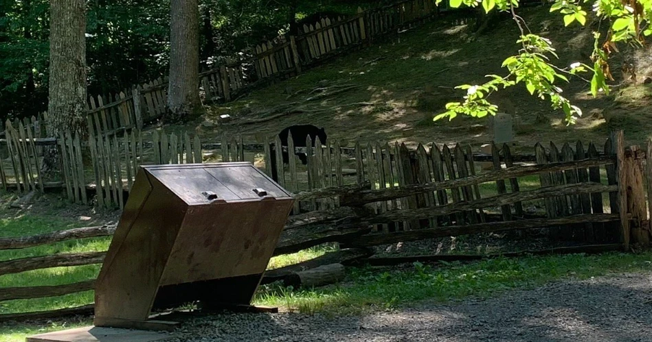 The Prettiest Picnic Views Near Gatlinburg