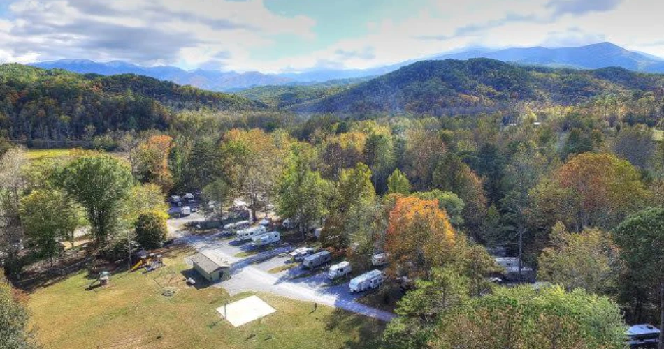 Top Wildlife Viewing Spots in Gatlinburg