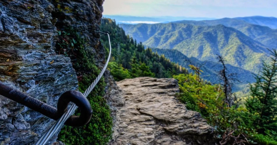 Top Wildlife Viewing Spots in Gatlinburg