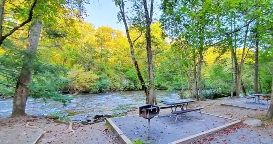 Best Picnic Spots in Gatlinburg for Families and Couples