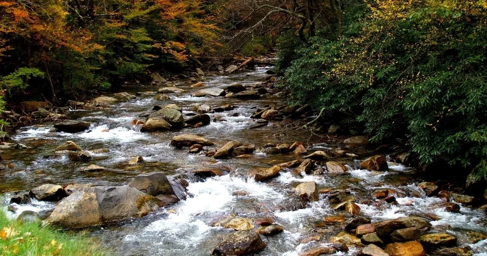 Best Picnic Spots in Gatlinburg for Families and Couples