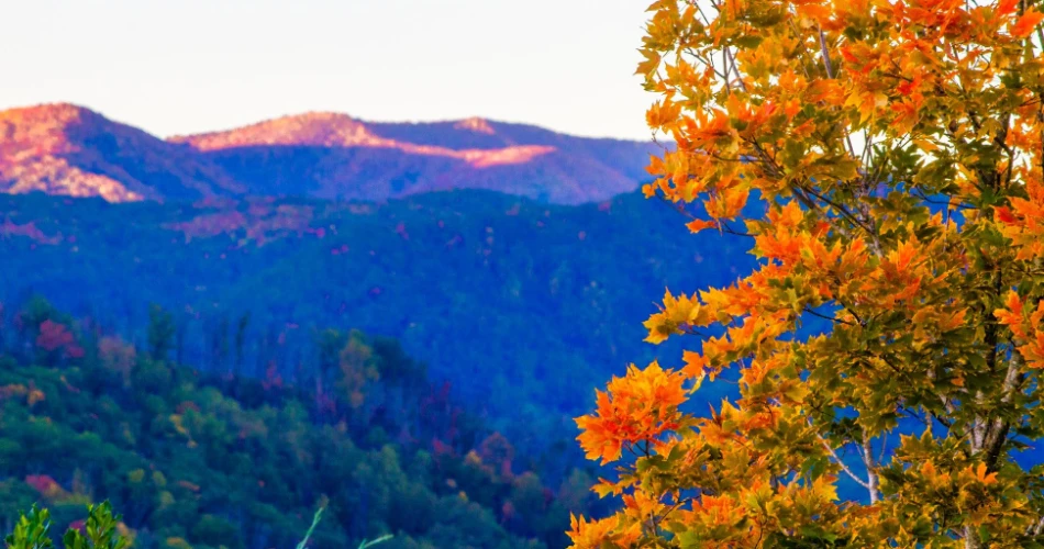 Best Places to See Mountain Views in Gatlinburg