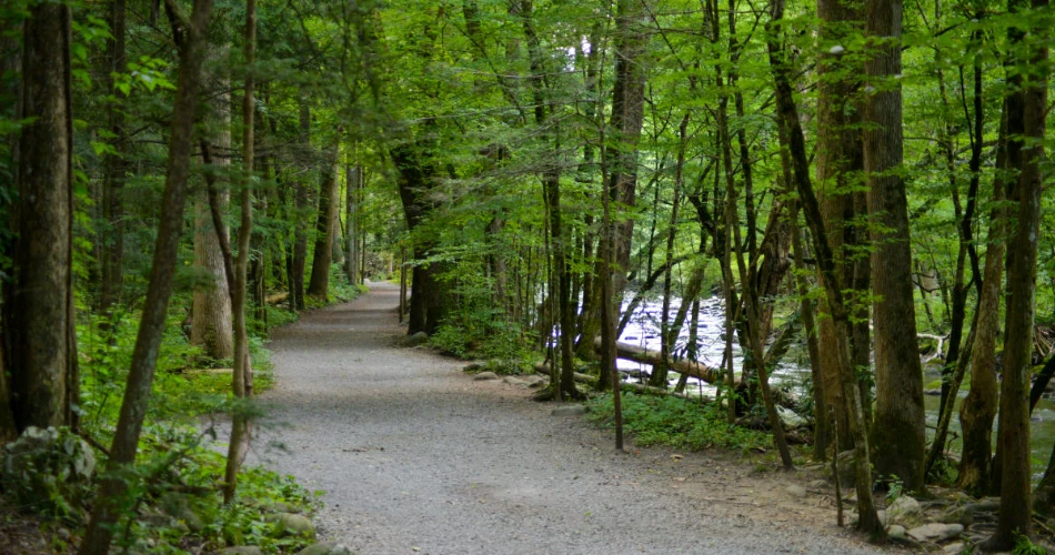 Beautiful Walking Trails Around Gatlinburg for a Relaxing Day Outdoors
