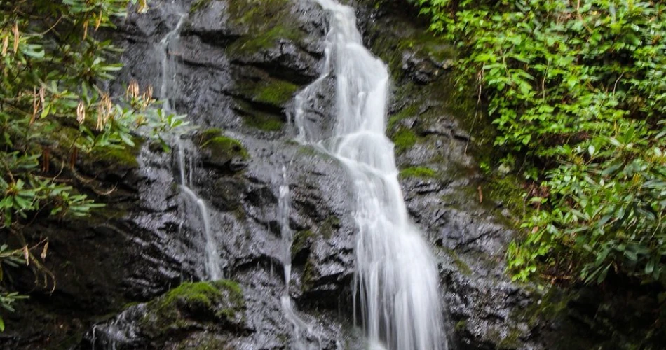 Beautiful Walking Trails Around Gatlinburg for a Relaxing Day Outdoors