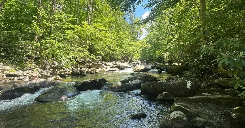 Beautiful Walking Trails Around Gatlinburg for a Relaxing Day Outdoors