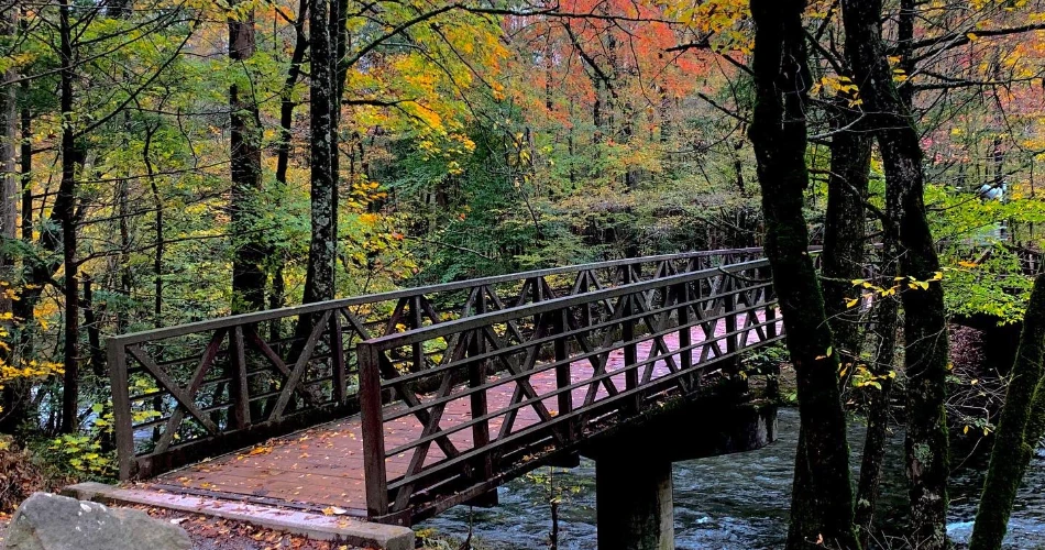Beautiful Walking Trails Around Gatlinburg for a Relaxing Day Outdoors