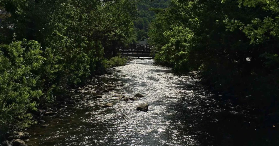 Beautiful Walking Trails Around Gatlinburg for a Relaxing Day Outdoors