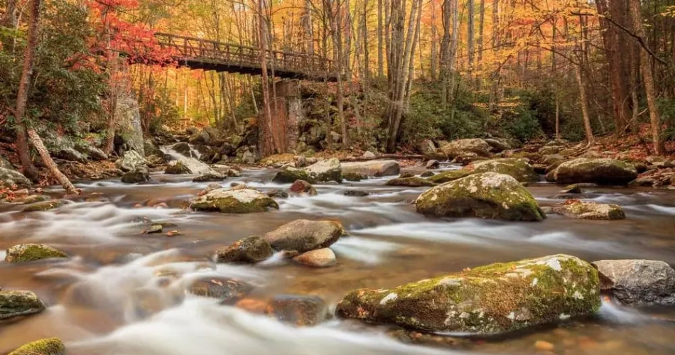 Beautiful Walking Trails Around Gatlinburg for a Relaxing Day Outdoors