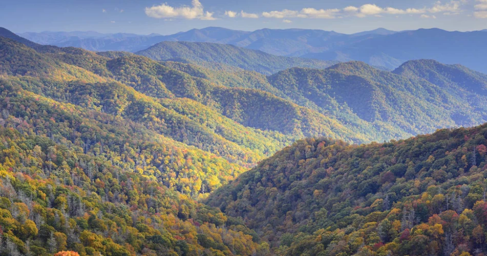 Beautiful Walking Trails Around Gatlinburg for a Relaxing Day Outdoors