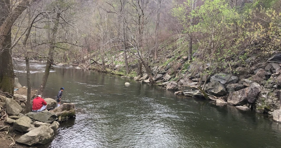 Where to Find Peace and Quiet in Gatlinburg