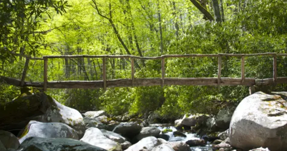 Where to Find Peace and Quiet in Gatlinburg