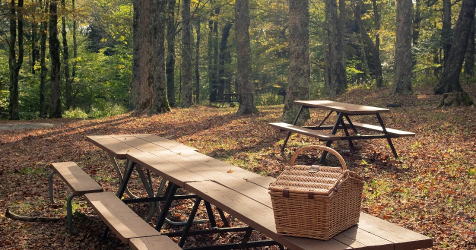Where to Find Peace and Quiet in Gatlinburg