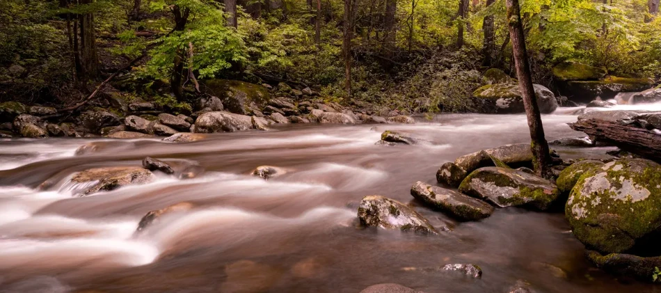 Where to Find Peace and Quiet in Gatlinburg