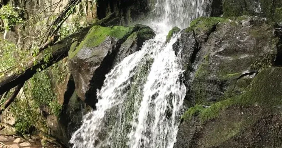 Best Scenic Spots to Visit Around Gatlinburg for Mountain Views and Memorable Drives