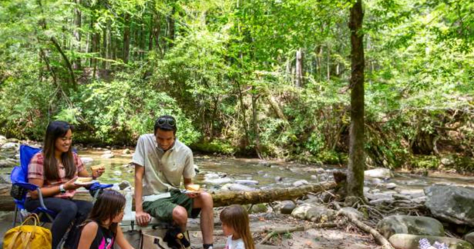 Best Scenic Spots to Visit Around Gatlinburg for Mountain Views and Memorable Drives