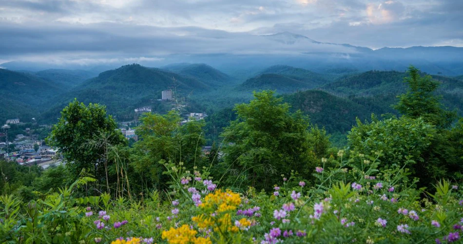Where to Go for Fresh Air in Gatlinburg