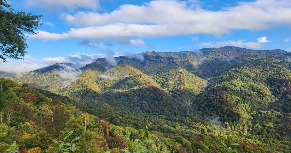 Beautiful Places to Sit and Enjoy the Mountains in Gatlinburg