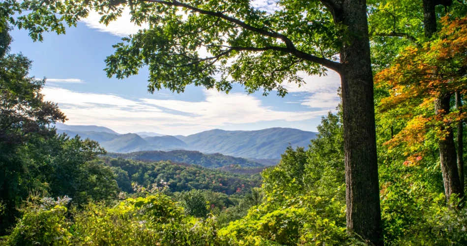 Beautiful Places to Sit and Enjoy the Mountains in Gatlinburg